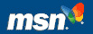 msn logo